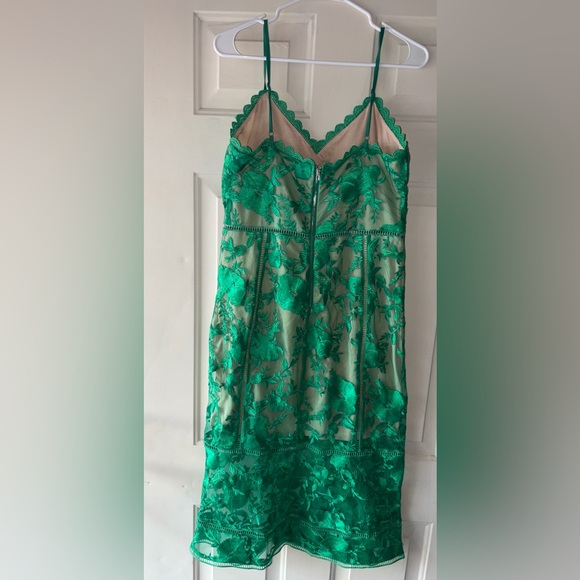 Lulu's Emerald and Beige Dress - Picture 2 of 5